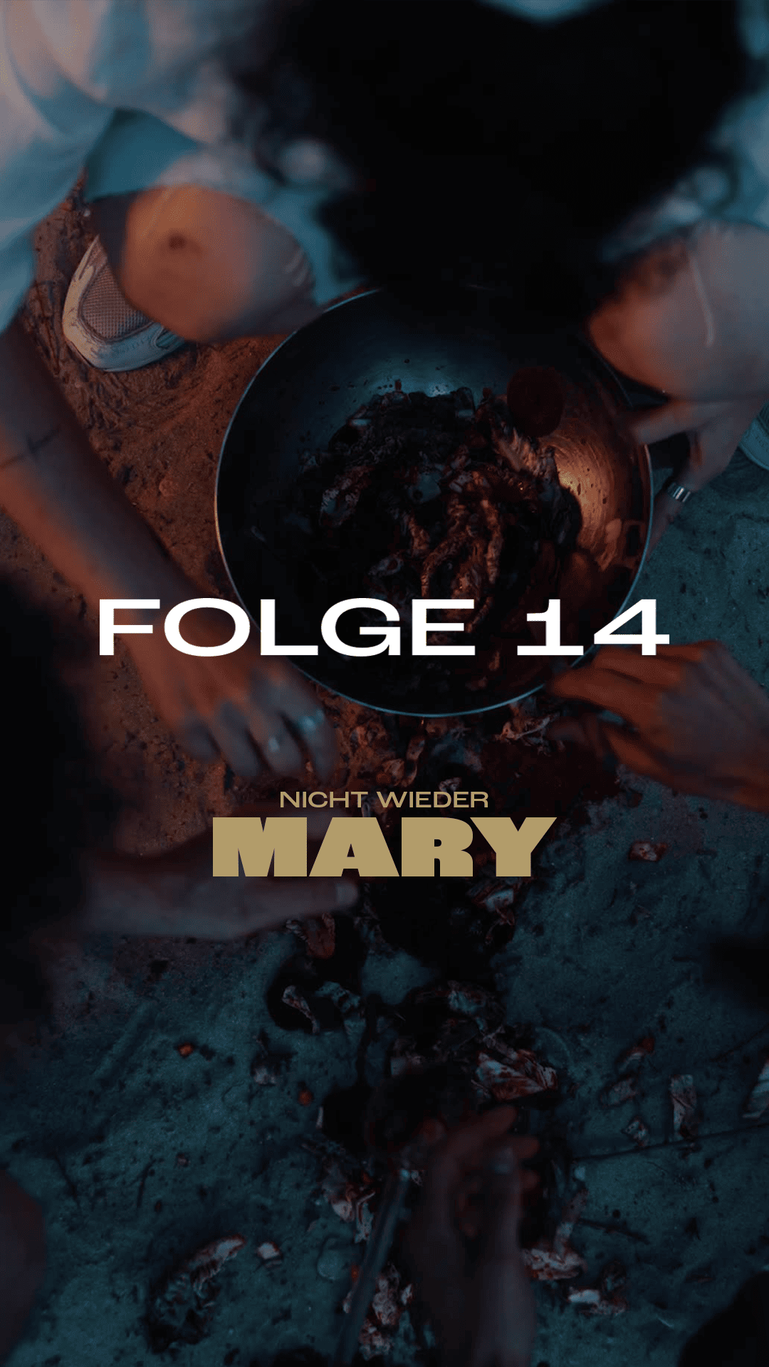 NICHT WIEDER MARY Folge 14